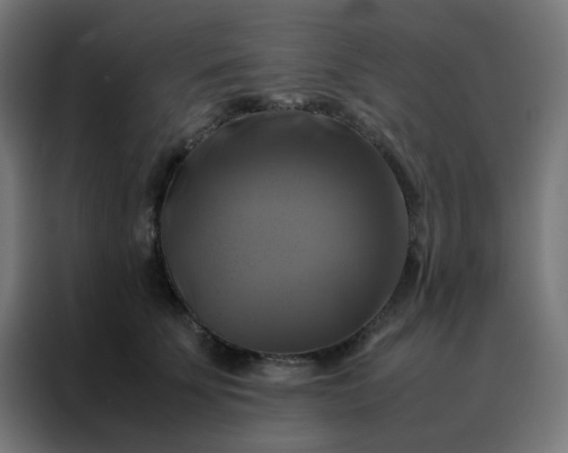 X0000088190707200705221702