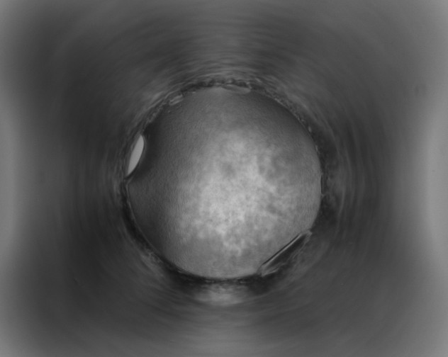 X0000088190708200705221702