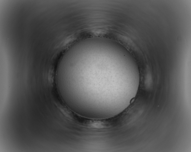 X0000088190710200705221702