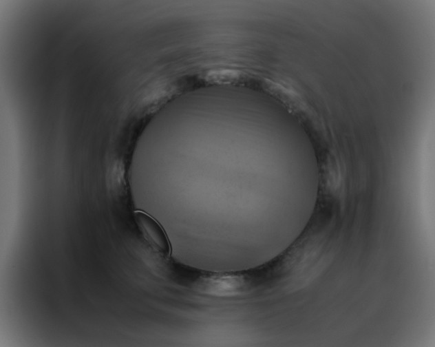 X0000088190711200705221702