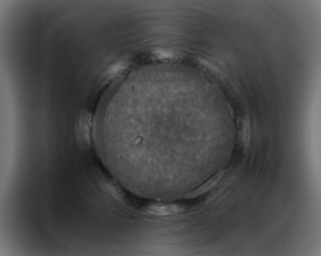 X0000088190712200705221702