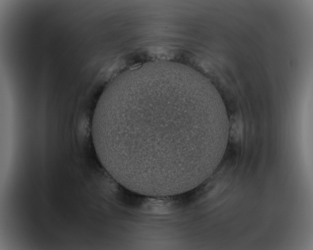 X0000088190713200705221702