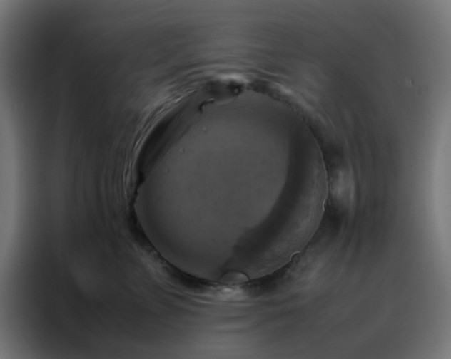 X0000088190715200705221702