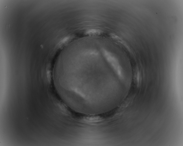 X0000088190716200705221702