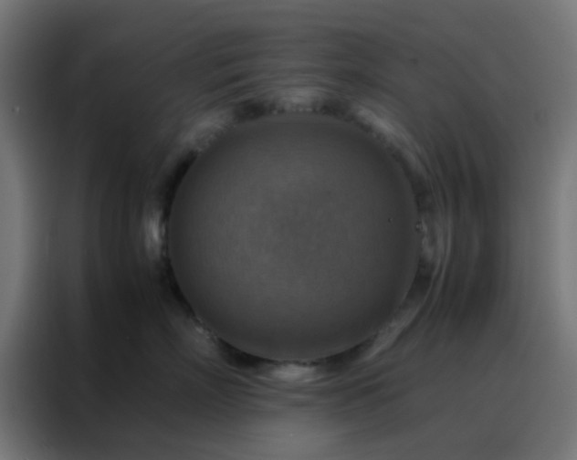 X0000088190718200705221702