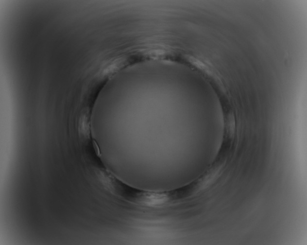 X0000088190719200705221702