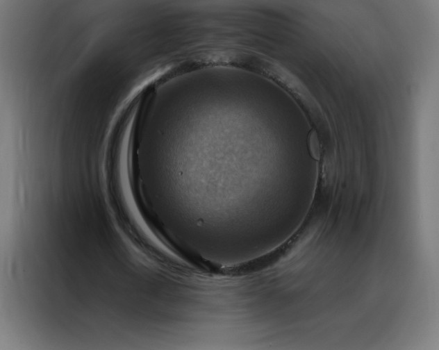 X0000088190722200705221701