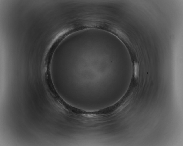 X0000088190723200705221702