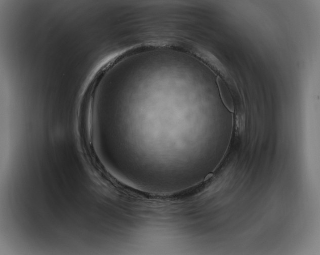 X0000088190724200705221702