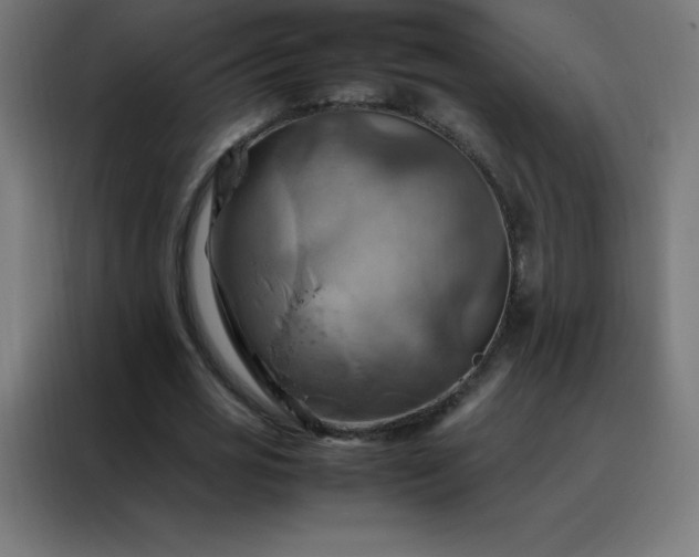 X0000088190725200705221702