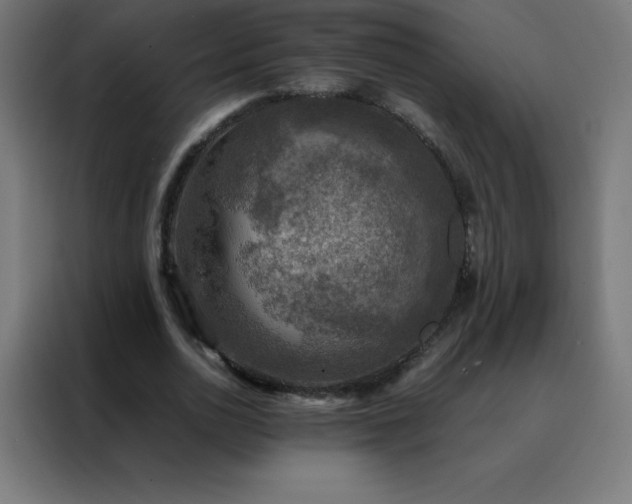 X0000088190726200705221702