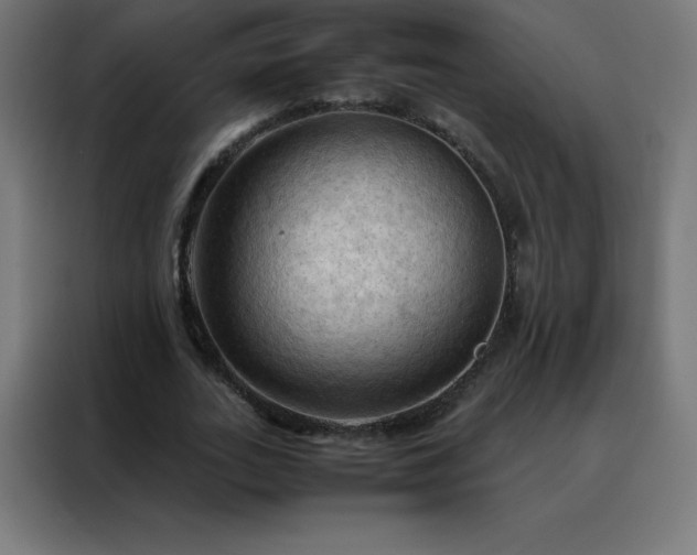 X0000088190727200705221702