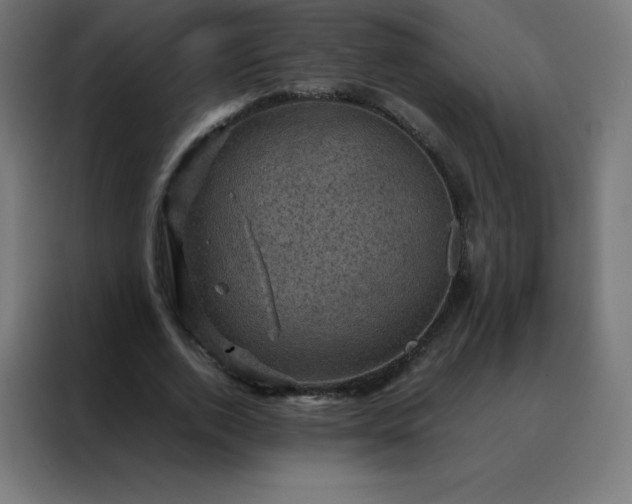 X0000088190728200705221702