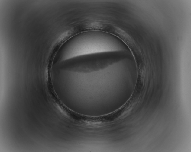 X0000088190729200705221702