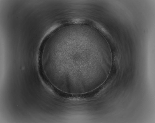 X0000088190730200705221702