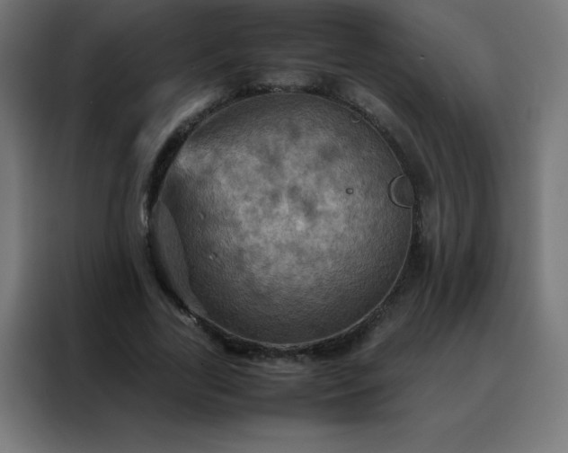 X0000088190731200705221702