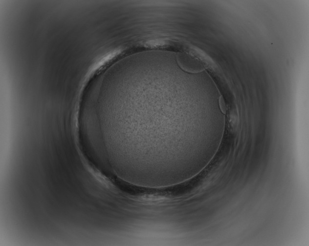 X0000088190732200705221702