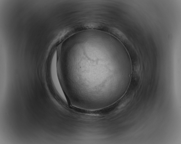 X0000088190734200705221702