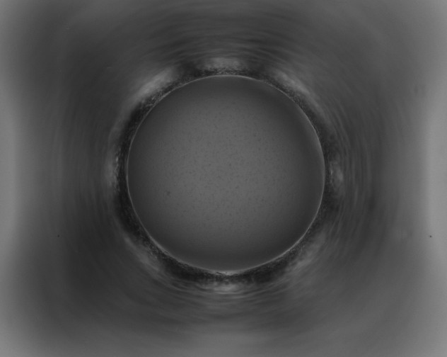 X0000088190735200705221702