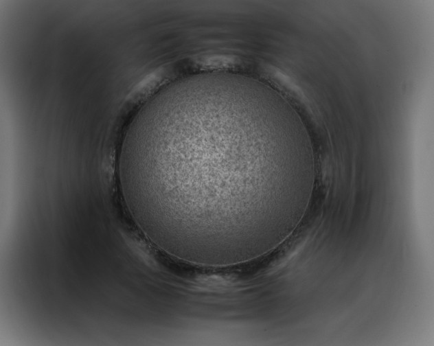 X0000088190737200705221702
