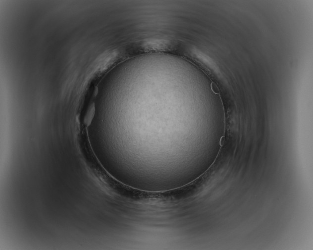 X0000088190738200705221702