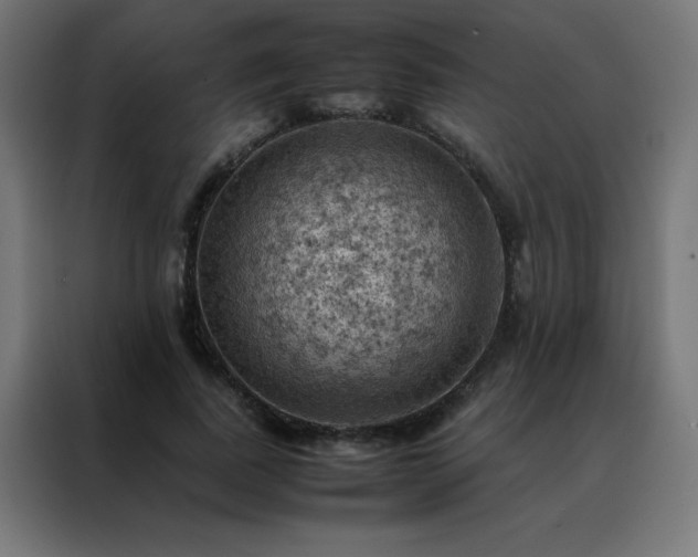 X0000088190739200705221702