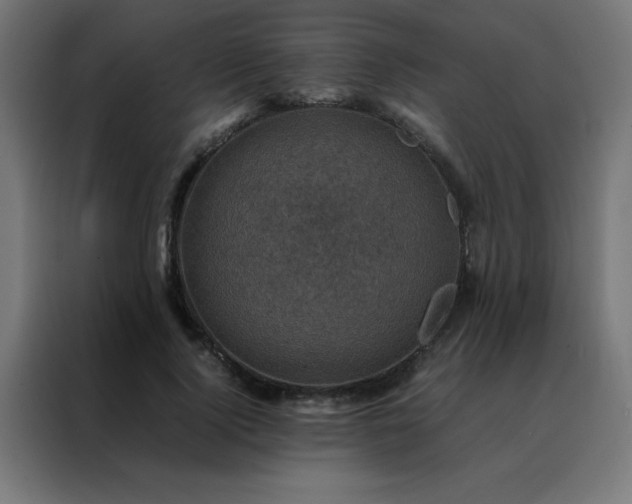 X0000088190740200705221702
