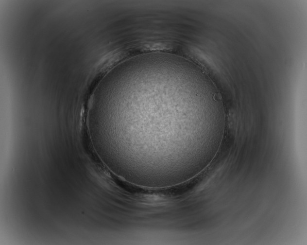 X0000088190741200705221702