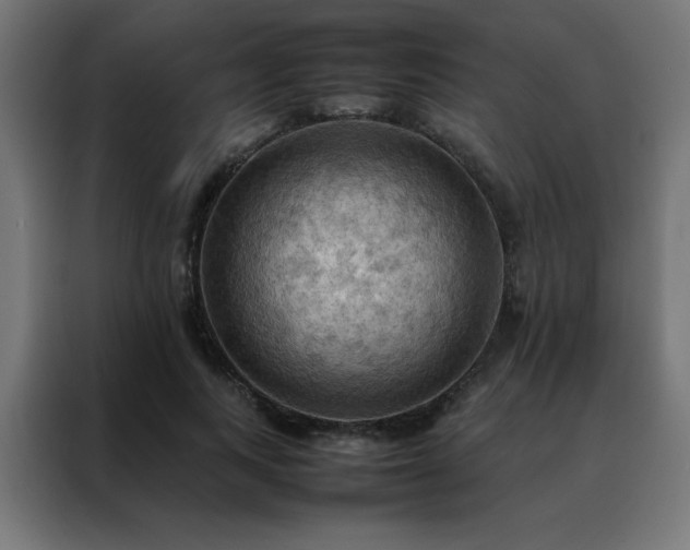 X0000088190743200705221702