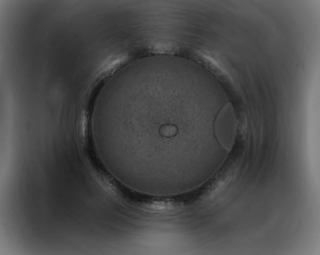 X0000088190744200705221702