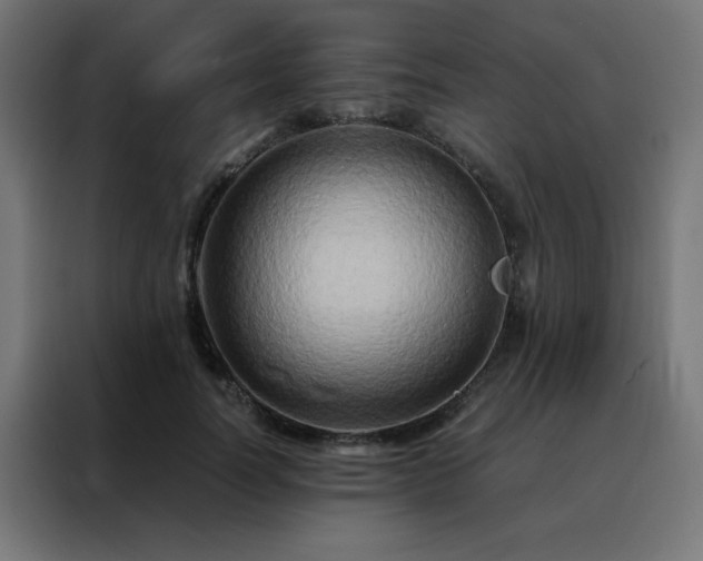 X0000088190746200705221702