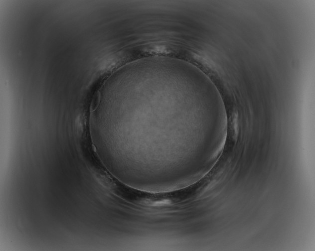 X0000088190747200705221702