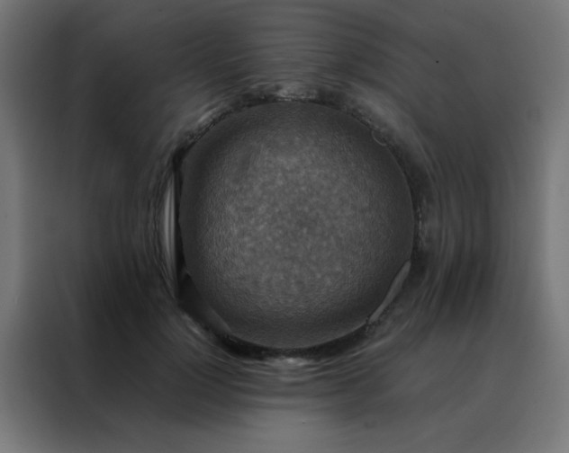 X0000088190748200705221702