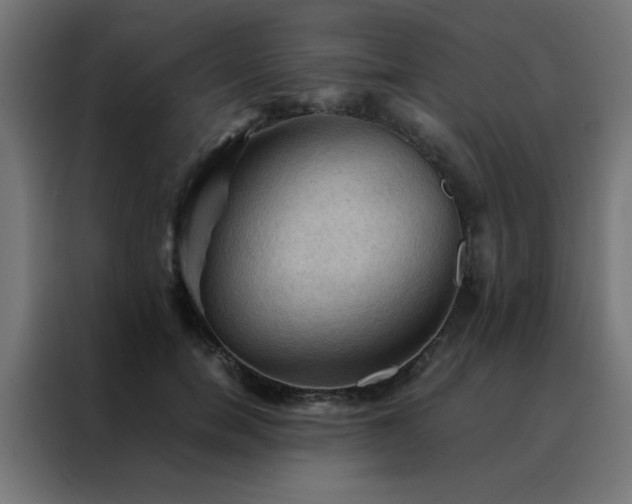 X0000088190750200705221702