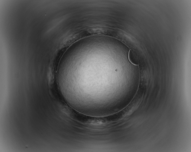 X0000088190751200705221702