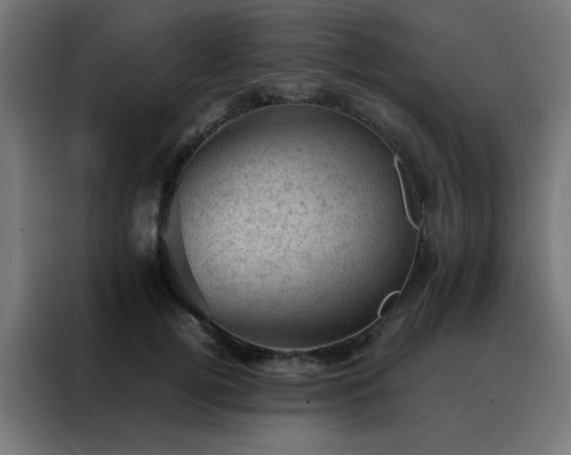 X0000088190752200705221702