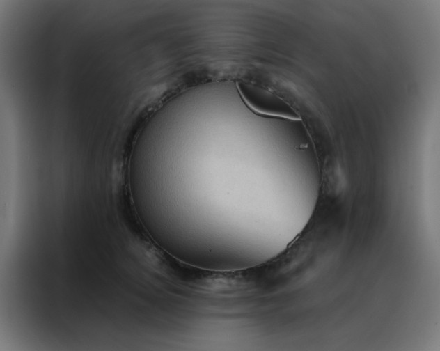 X0000088190756200705221702