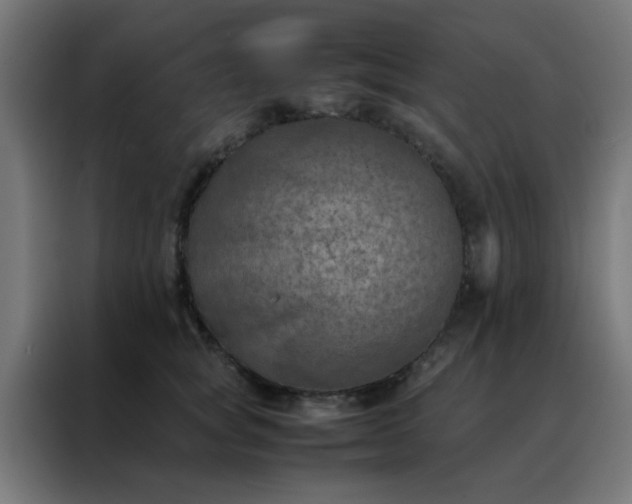 X0000088190757200705221702
