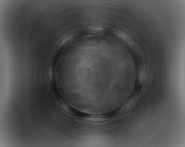 X0000088190758200705221702