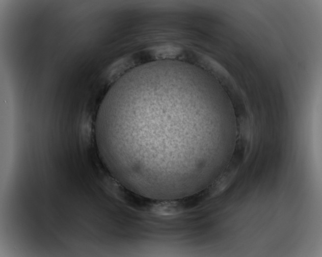 X0000088190761200705221702