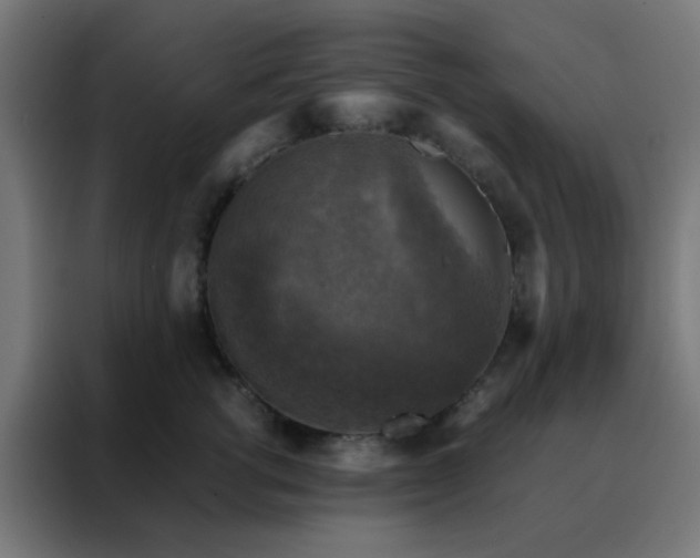 X0000088190762200705221702