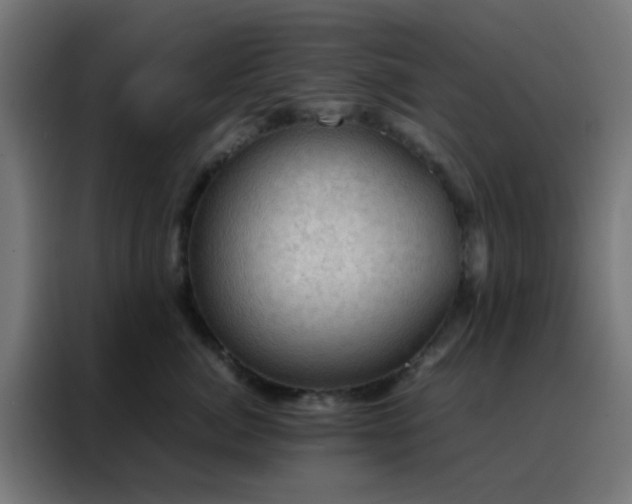 X0000088190764200705221702