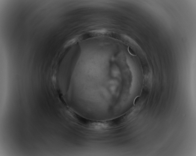 X0000088190765200705221702