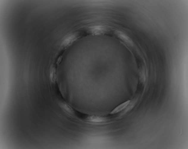 X0000088190766200705221702