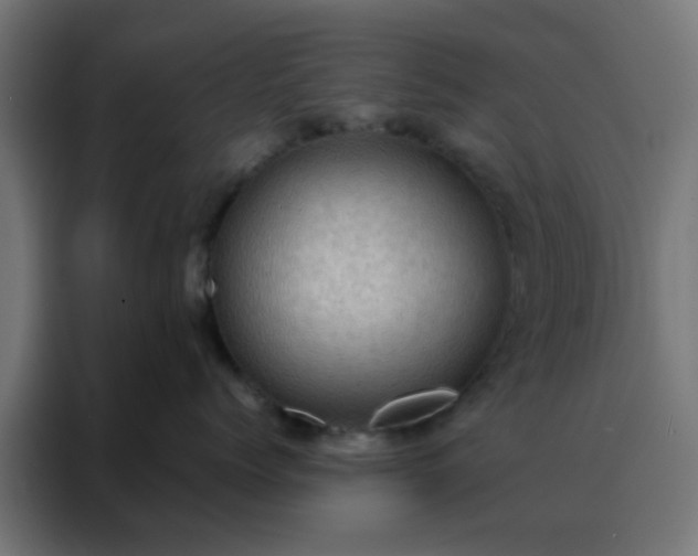 X0000088190768200705221702