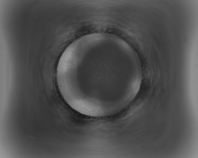 X0000088190769200705221701
