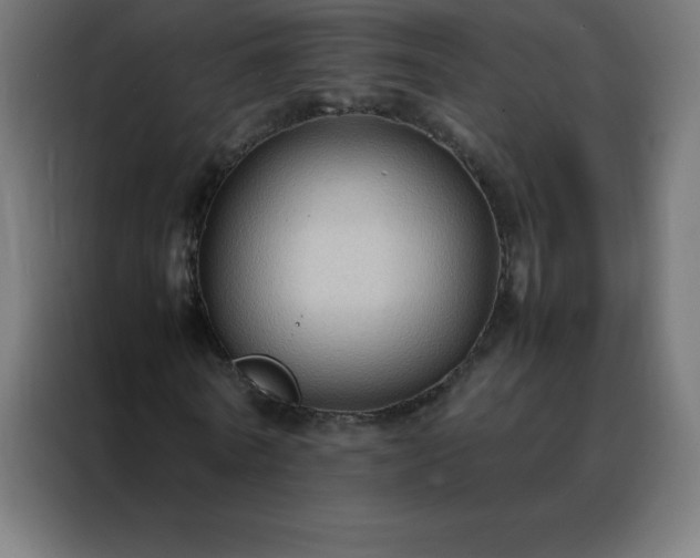 X0000088190770200705221701