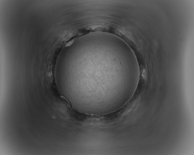 X0000088190771200705221701