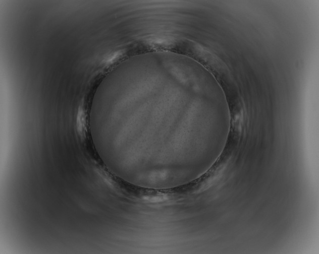 X0000088190772200705221701