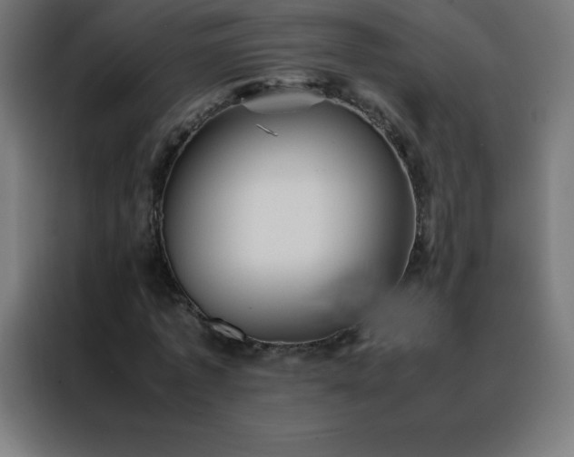 X0000088190773200705221701